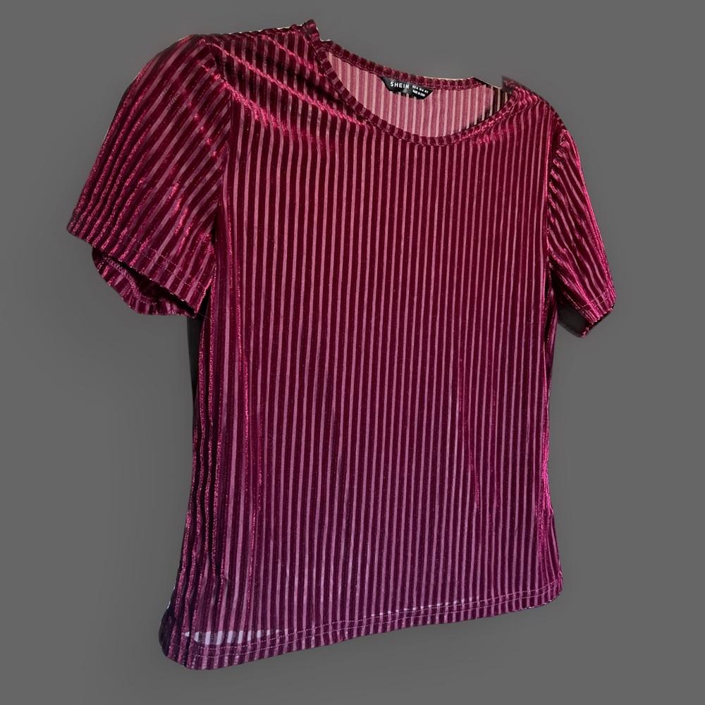 Sheer Red Velvet Crop Top